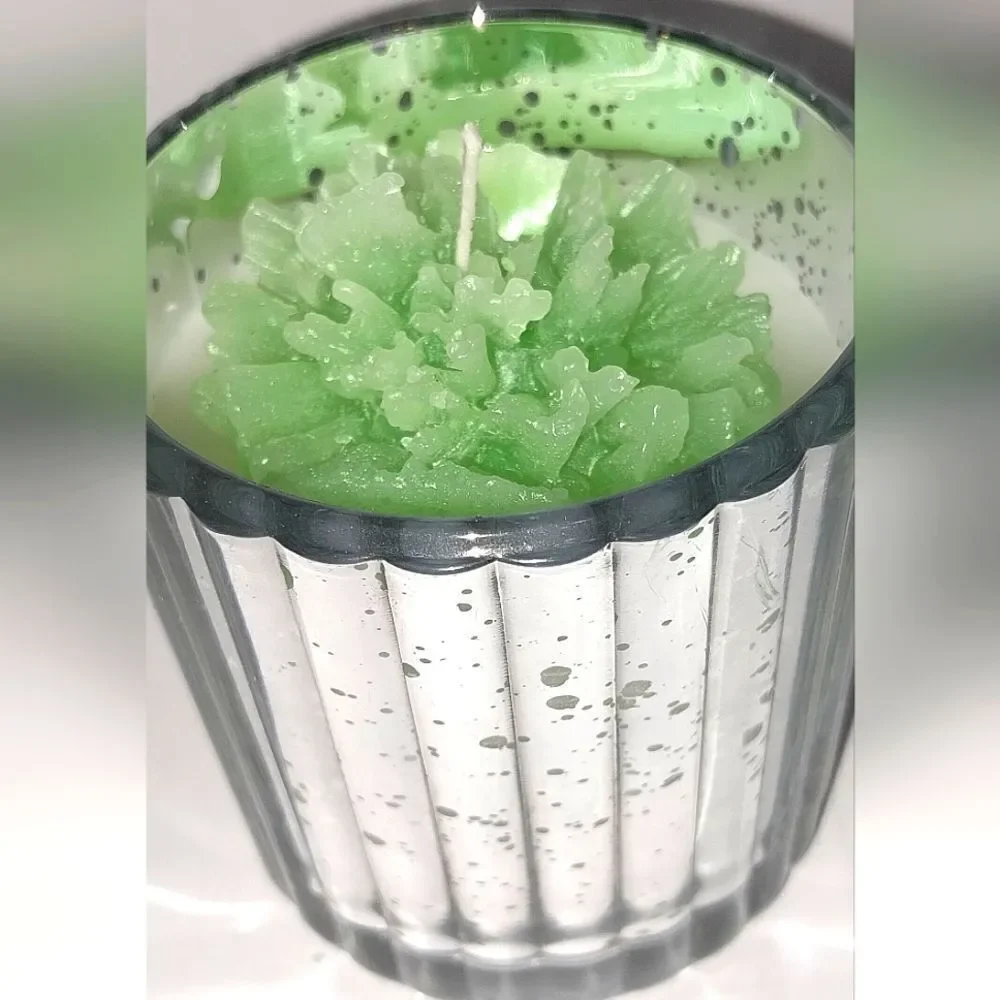 Hand crafted Enchanted Forrest limited edition candle 8oz